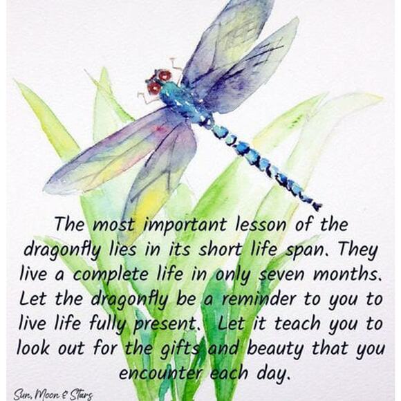 Crochet Dragonfly Vintage Beaded Keychain Hand Crafted Purse Charm Bag Clip NEW - Picture 6 of 10